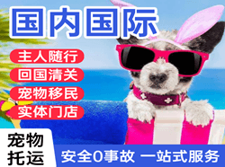 普洱思茅航空托运国际宠物托运 【国